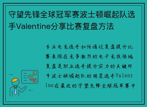 守望先锋全球冠军赛波士顿崛起队选手Valentine分享比赛复盘方法