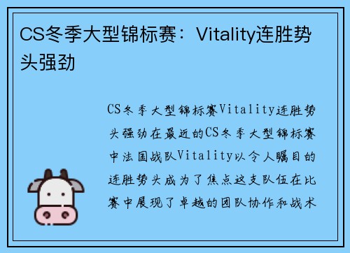 CS冬季大型锦标赛：Vitality连胜势头强劲