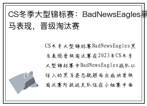 CS冬季大型锦标赛：BadNewsEagles黑马表现，晋级淘汰赛